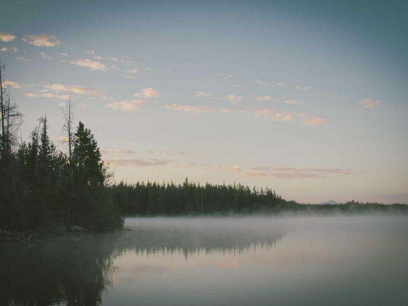 5 Benefits of Air Cushion Film for E-commerce Shipping