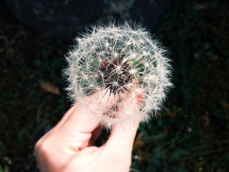 Wine Bottle Protection